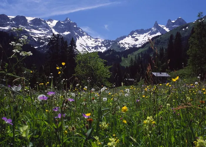 Montabella 3* Schruns